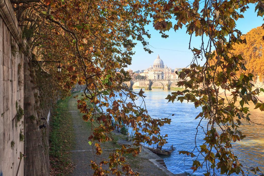 Vatican Domus — Foto 2